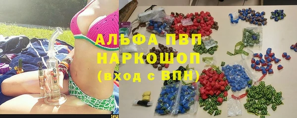 спиды Богородицк