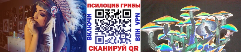 Псилоцибиновые грибы мицелий Болотное